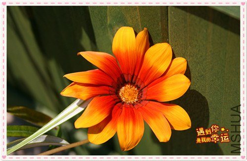 ��Ƭ 097_����.jpg