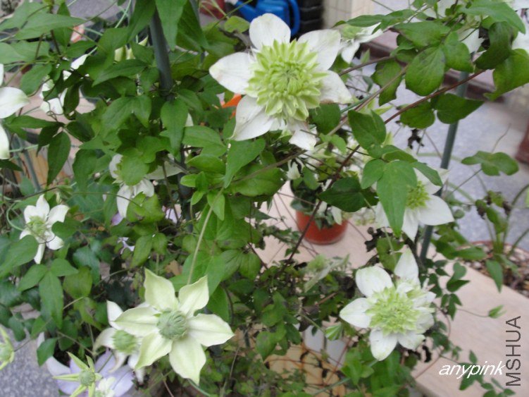 nEO_IMG_DSC01870.jpg