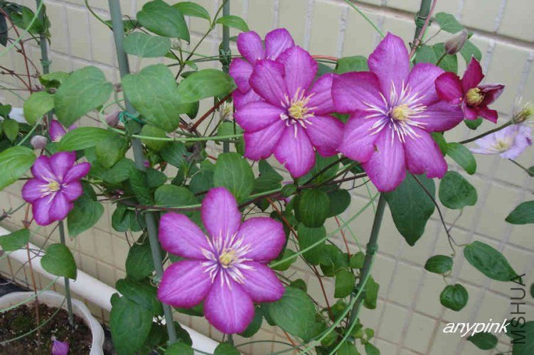 nEO_IMG_DSC01452.jpg