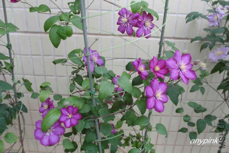 nEO_IMG_DSC01373.jpg