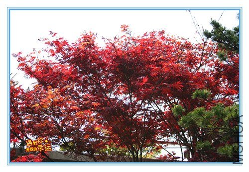 ��Ƭ 053_����.jpg