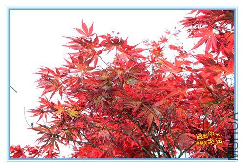 ��Ƭ 055_����.jpg