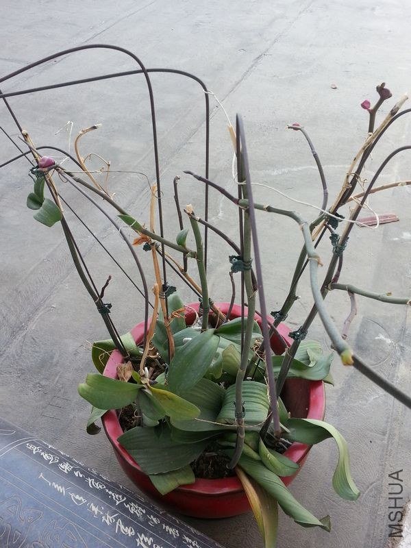 20130417_143739.jpg