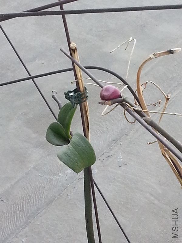 20130417_143754.jpg
