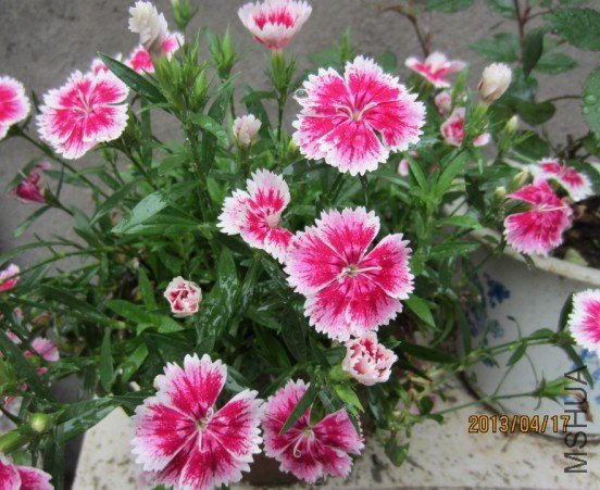 KEBUI%M(KYH[)8]@E)1TQU1.jpg
