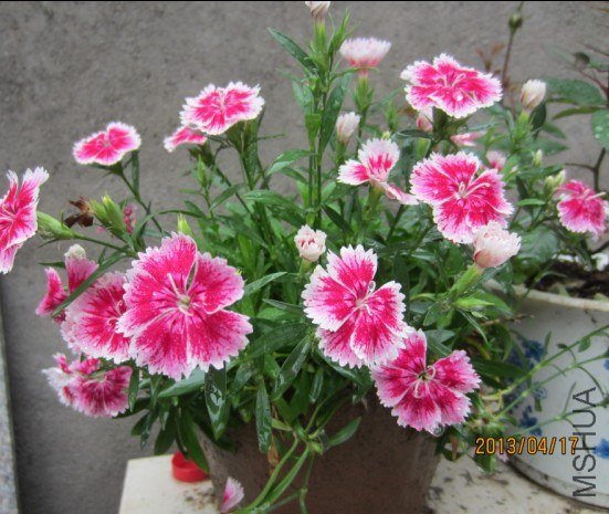 Q65[GT({**C9@IK(L}Z2PM.jpg