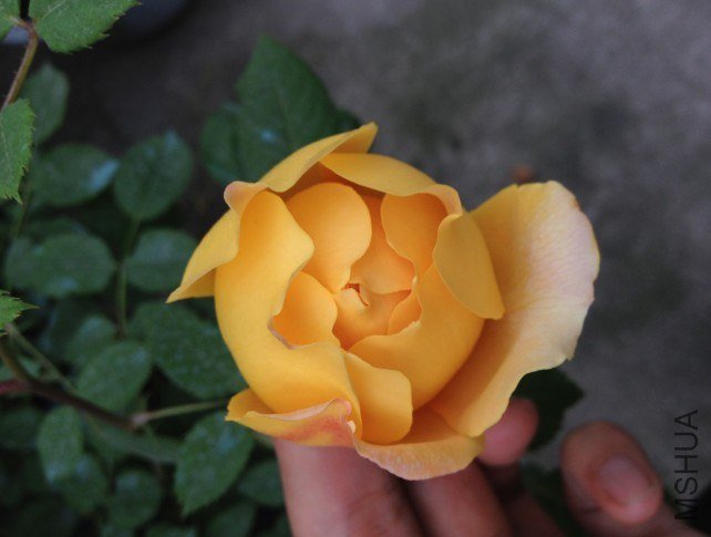 QQ��ͼ20130417200959.jpg