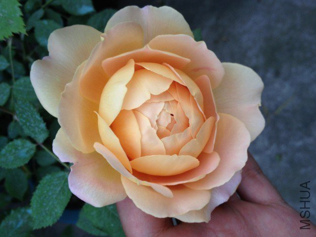 QQ��ͼ20130417201018.jpg