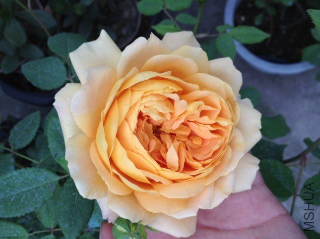 QQ��ͼ20130417201036.jpg