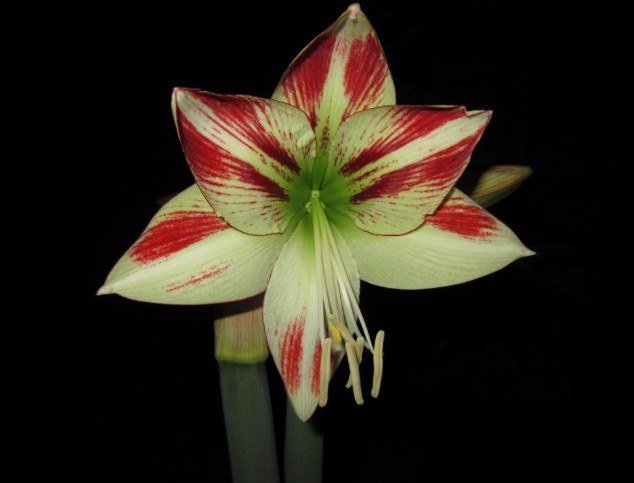 QQ��ͼ20130417202113.jpg