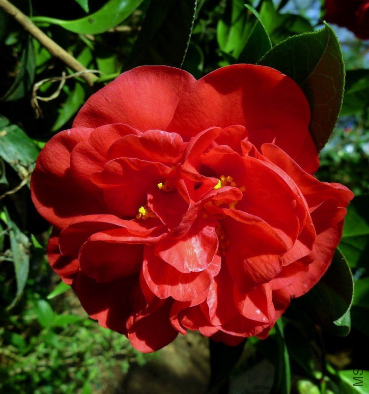 P1890156.jpg