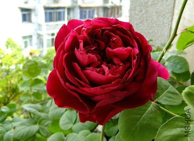 adaf2edda3cc7cd9d5cf21b73801213fb90e91f9.jpg