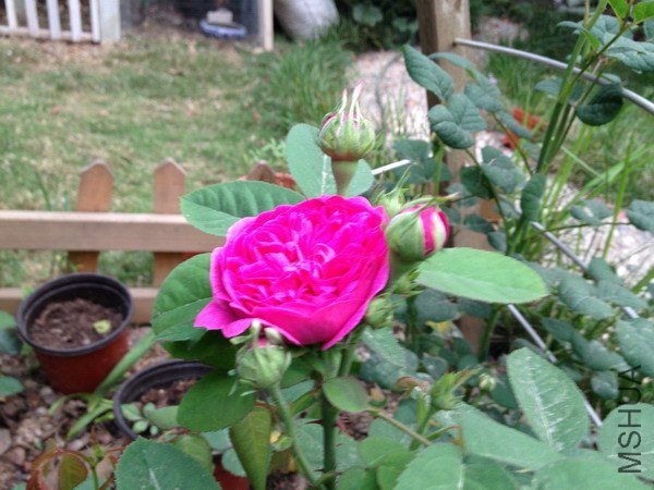 ��Ƭ 113_��С��С.jpg