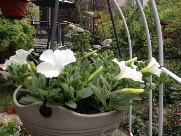 ��Ƭ 114_��С��С.jpg