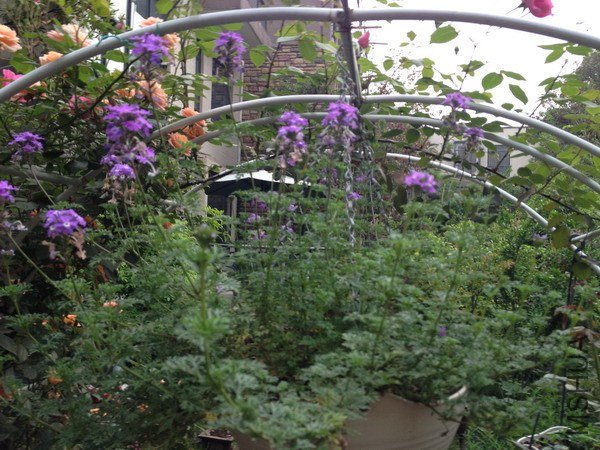 ��Ƭ 115_��С��С.jpg