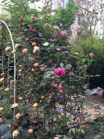 ��Ƭ 117_��С��С.jpg