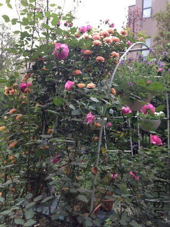 ��Ƭ 118_��С��С.jpg