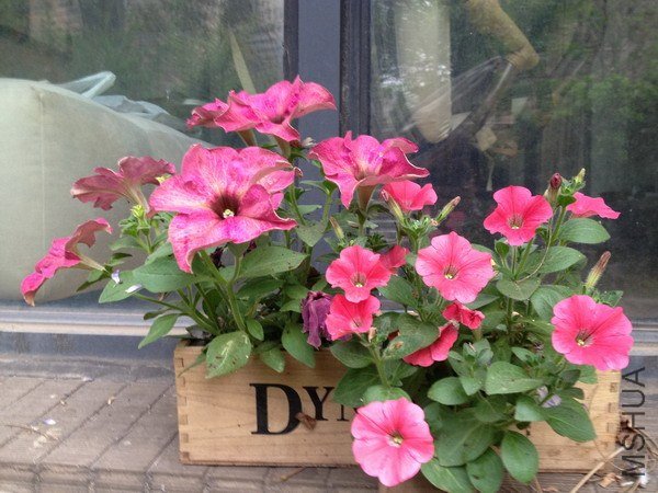 ��Ƭ 119_��С��С.jpg