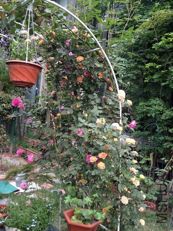 ��Ƭ 122_��С��С.jpg