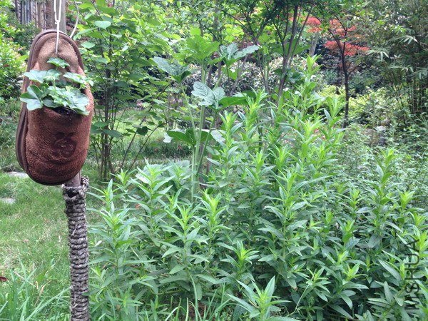 ��Ƭ 125_��С��С.jpg