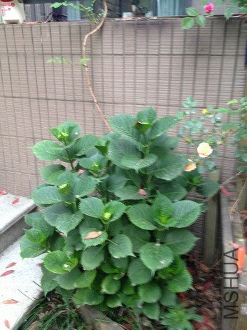 ��Ƭ 128_��С��С.jpg