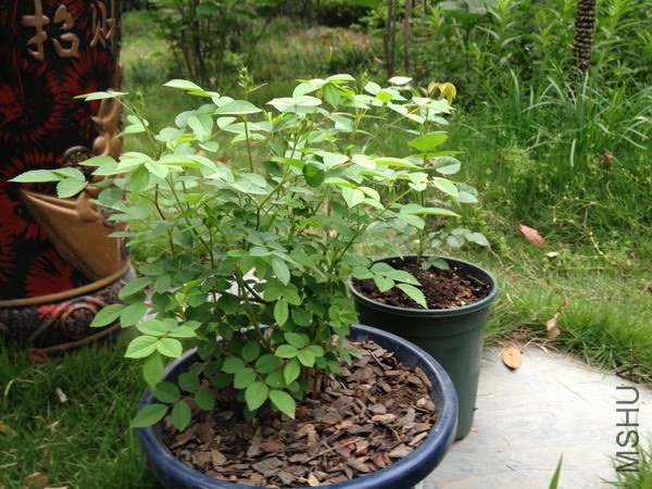 ��Ƭ 130_��С��С.jpg