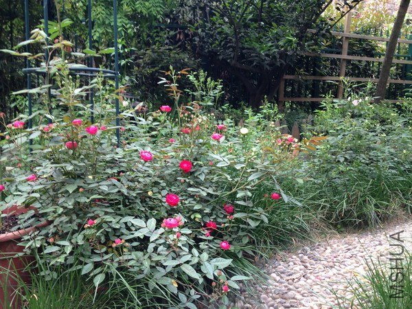 ��Ƭ 131_��С��С.jpg