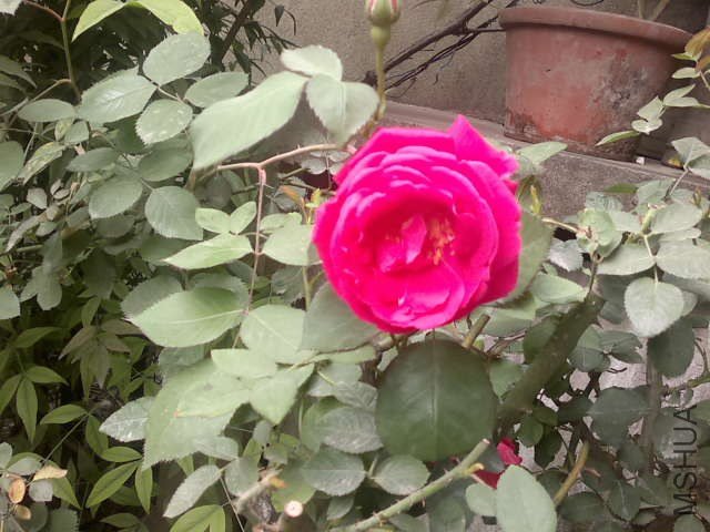20130418383.jpg