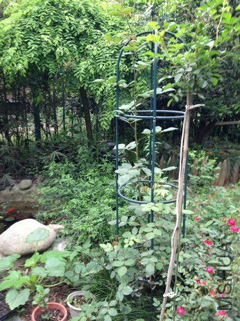 ��Ƭ 132_��С��С.jpg