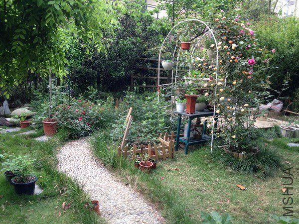 ��Ƭ 135_��С��С.jpg