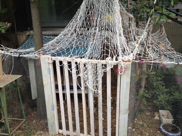 ��Ƭ 136_��С��С.jpg