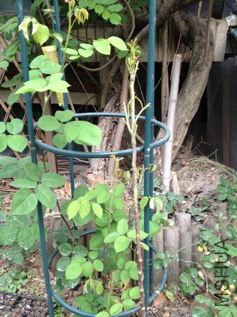 ��Ƭ 138_��С��С.jpg