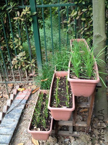 ��Ƭ 139_��С��С.jpg