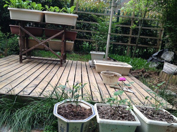 ��Ƭ 141_��С��С.jpg