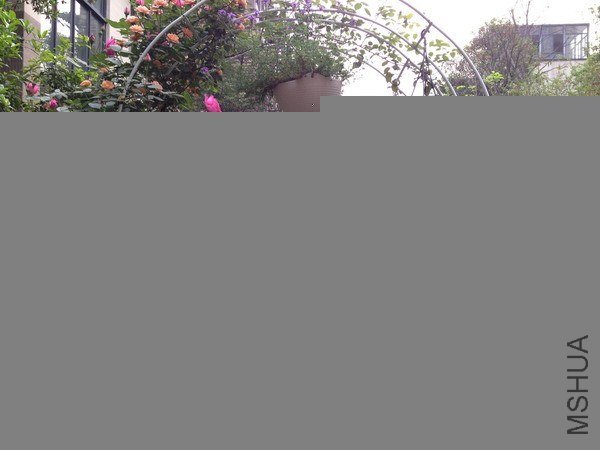 ��Ƭ 142_��С��С.jpg