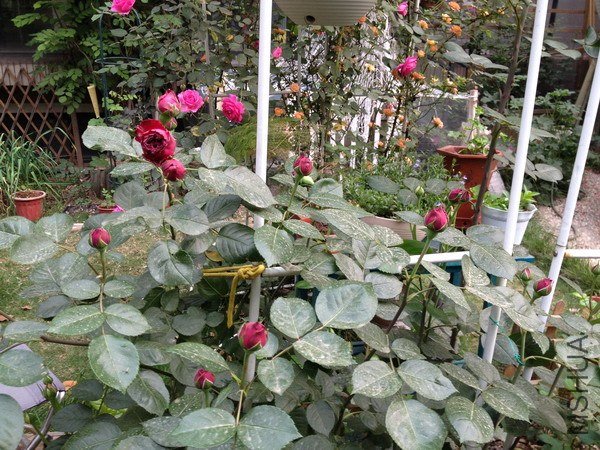 ��Ƭ 145_��С��С.jpg