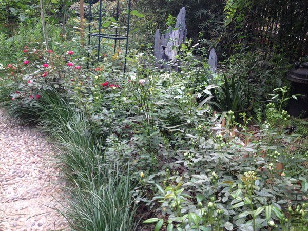 ��Ƭ 146_��С��С.jpg