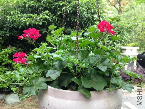 ��Ƭ 155_��С��С.jpg