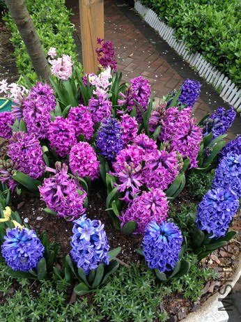 ��Ƭ 037_��С��С.jpg