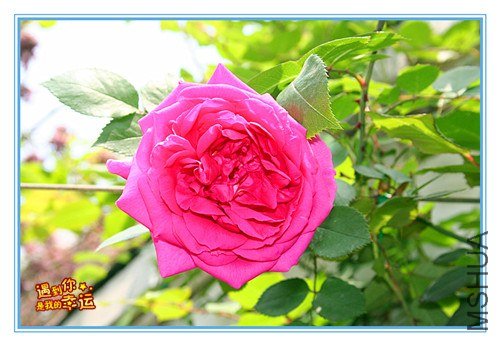 ��Ƭ 033_����.jpg