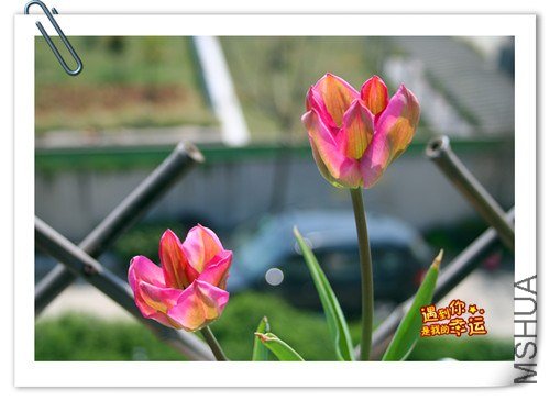 ��Ƭ 022_����.jpg