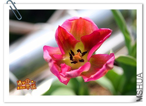 ��Ƭ 027_����.jpg