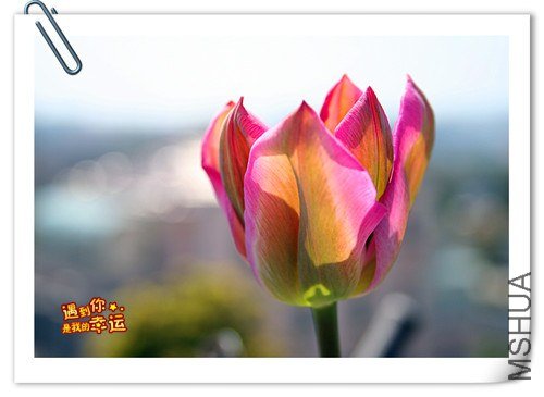 ��Ƭ 030_����.jpg