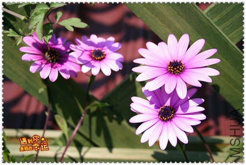 ��Ƭ 086_����.jpg