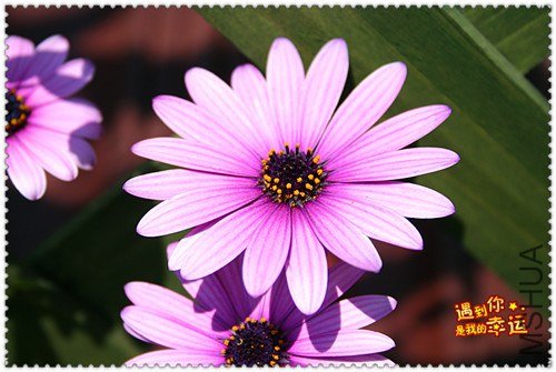 ��Ƭ 087_����.jpg