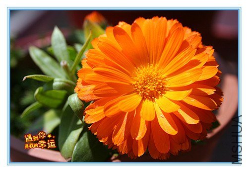 ��Ƭ 102_����.jpg