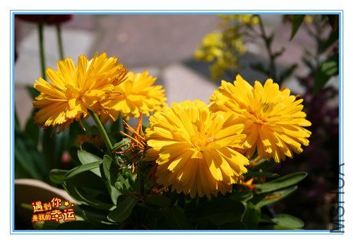 ��Ƭ 103_����.jpg