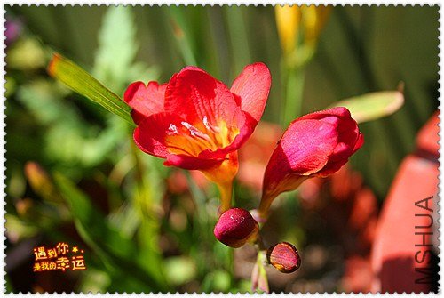 ��Ƭ 027_����.jpg