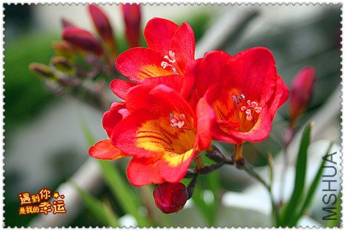 ��Ƭ 028_����.jpg