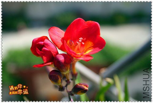 ��Ƭ 030_����.jpg